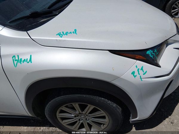 2019 LEXUS NX 300 300 Luxury