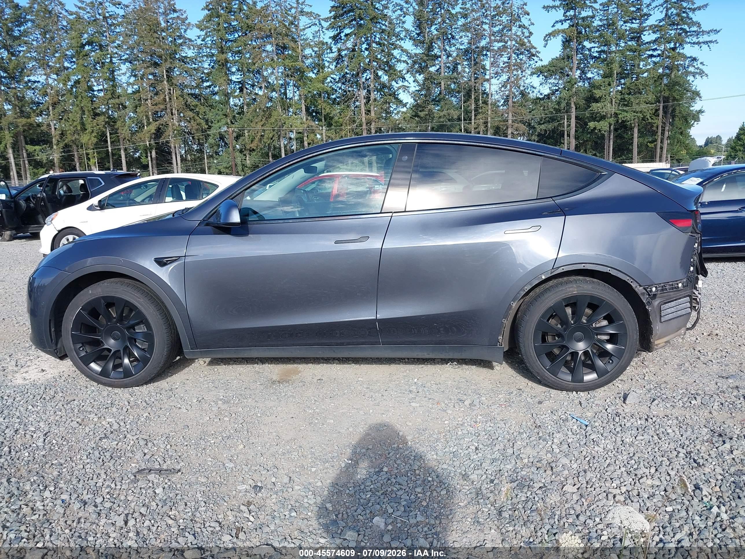 2021 TESLA MODEL Y