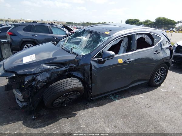 2025 LEXUS NX 250 350 Base — I6