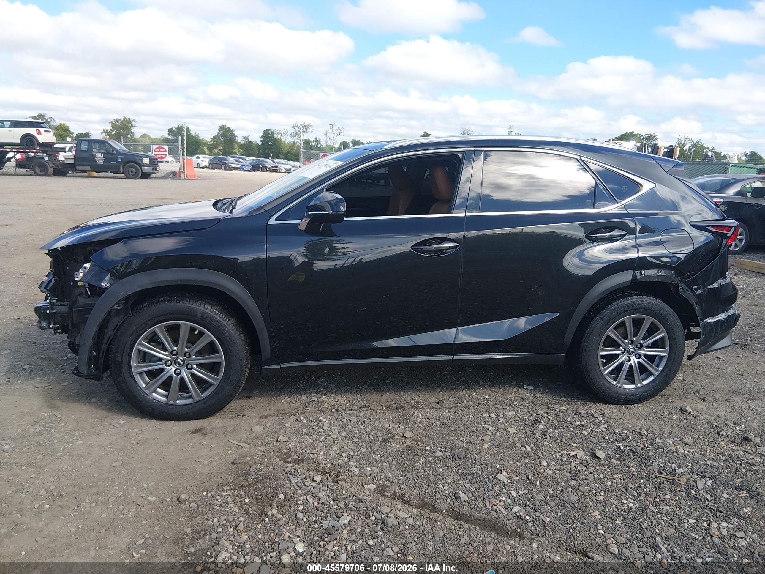 2019 LEXUS NX 300 300 Luxury