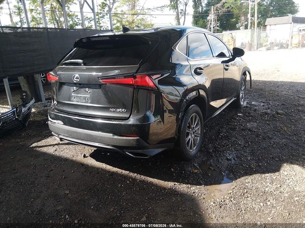 2019 LEXUS NX 300 300 Luxury