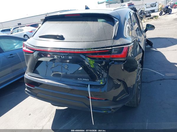 2024 LEXUS NX 250 PREMIUM