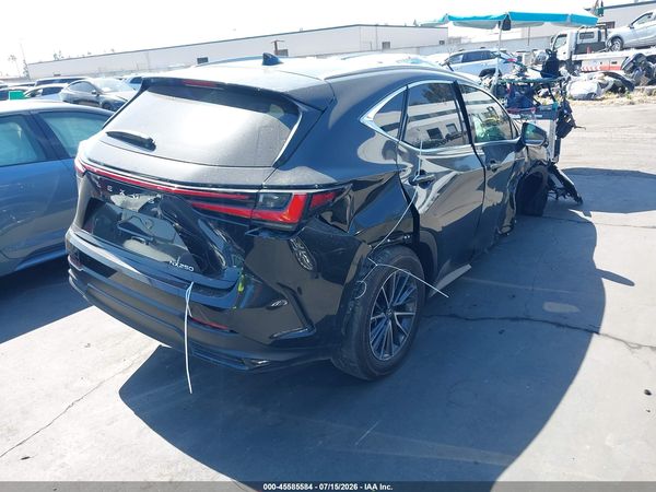 2024 LEXUS NX 250 PREMIUM