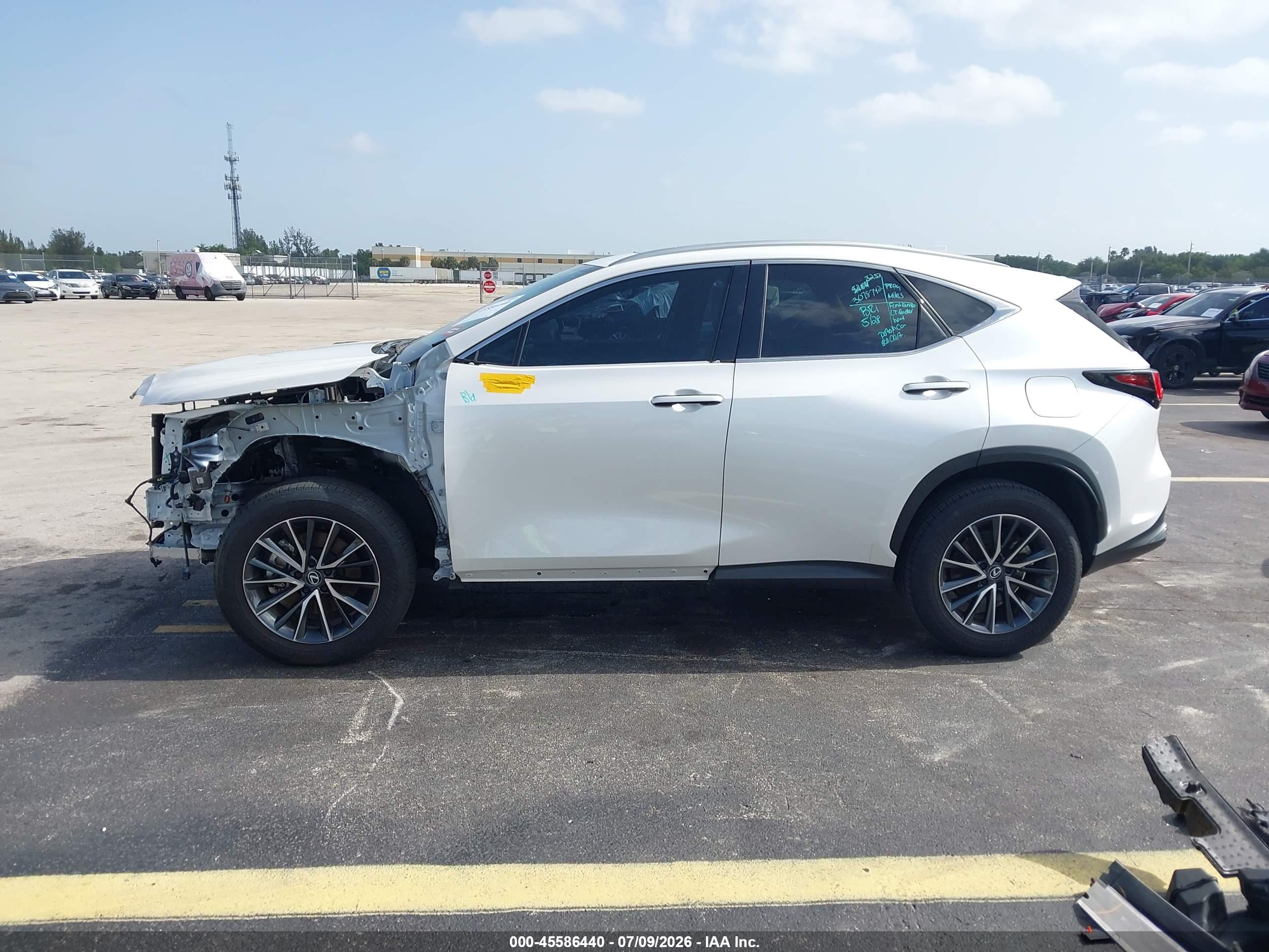 2025 LEXUS NX 250 PREMIUM