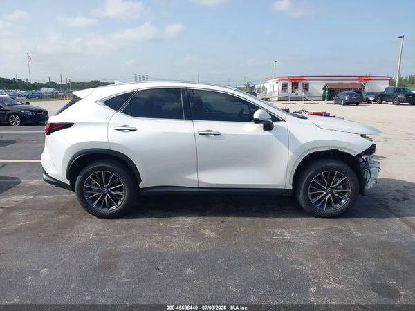 2025 LEXUS NX 250 PREMIUM