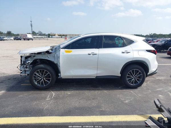 2025 LEXUS NX 250 PREMIUM