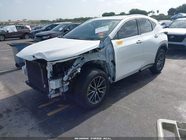 2025 LEXUS NX 250 PREMIUM
