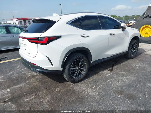 2025 LEXUS NX 250 PREMIUM