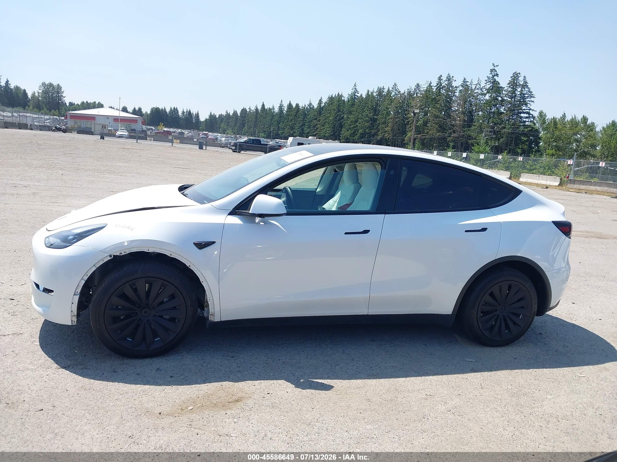 2024 TESLA MODEL Y