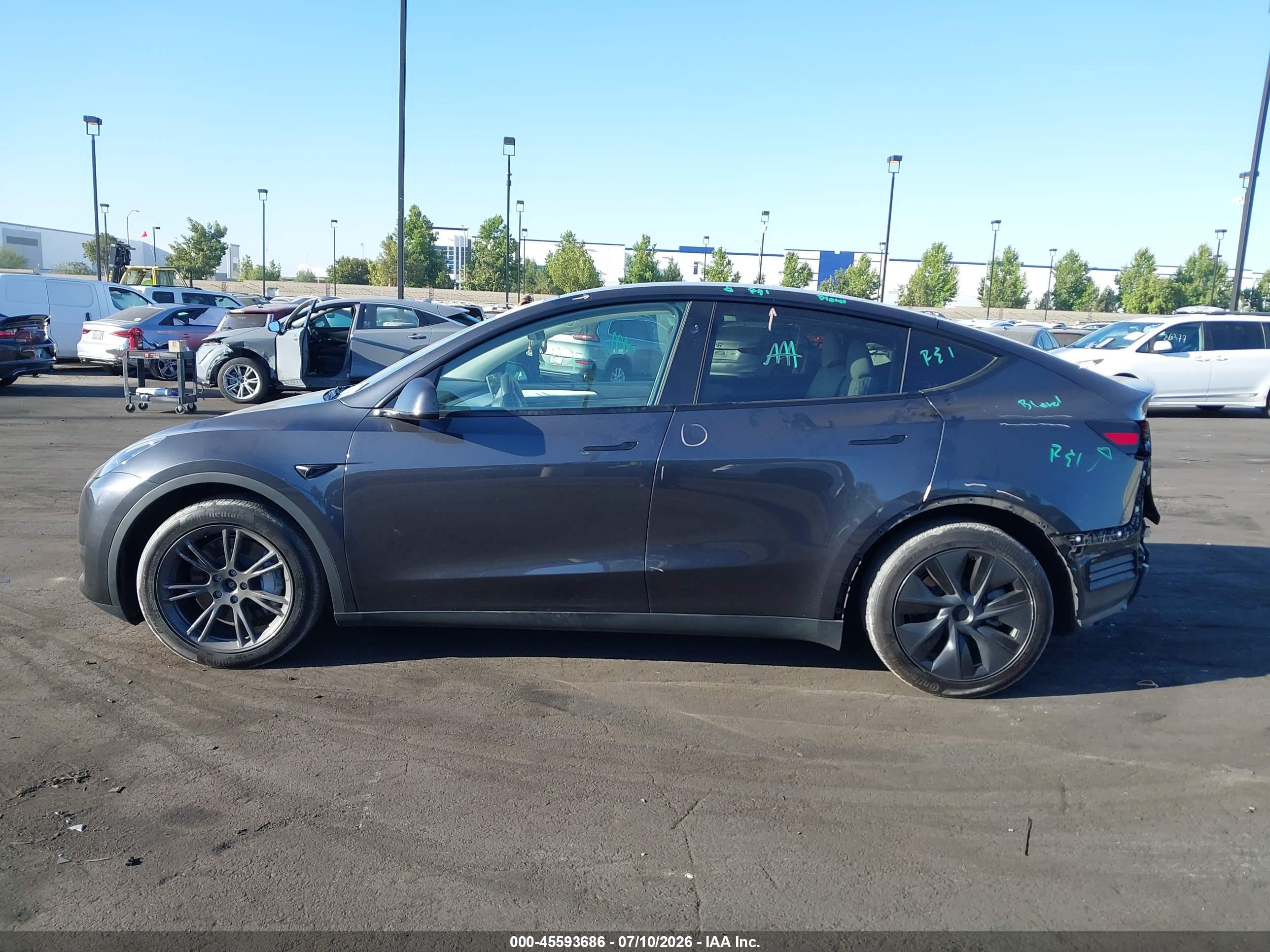 2025 TESLA MODEL Y