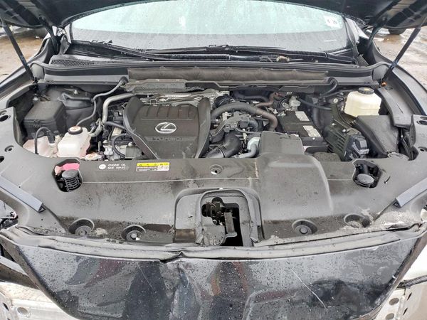 2024 LEXUS RX 350