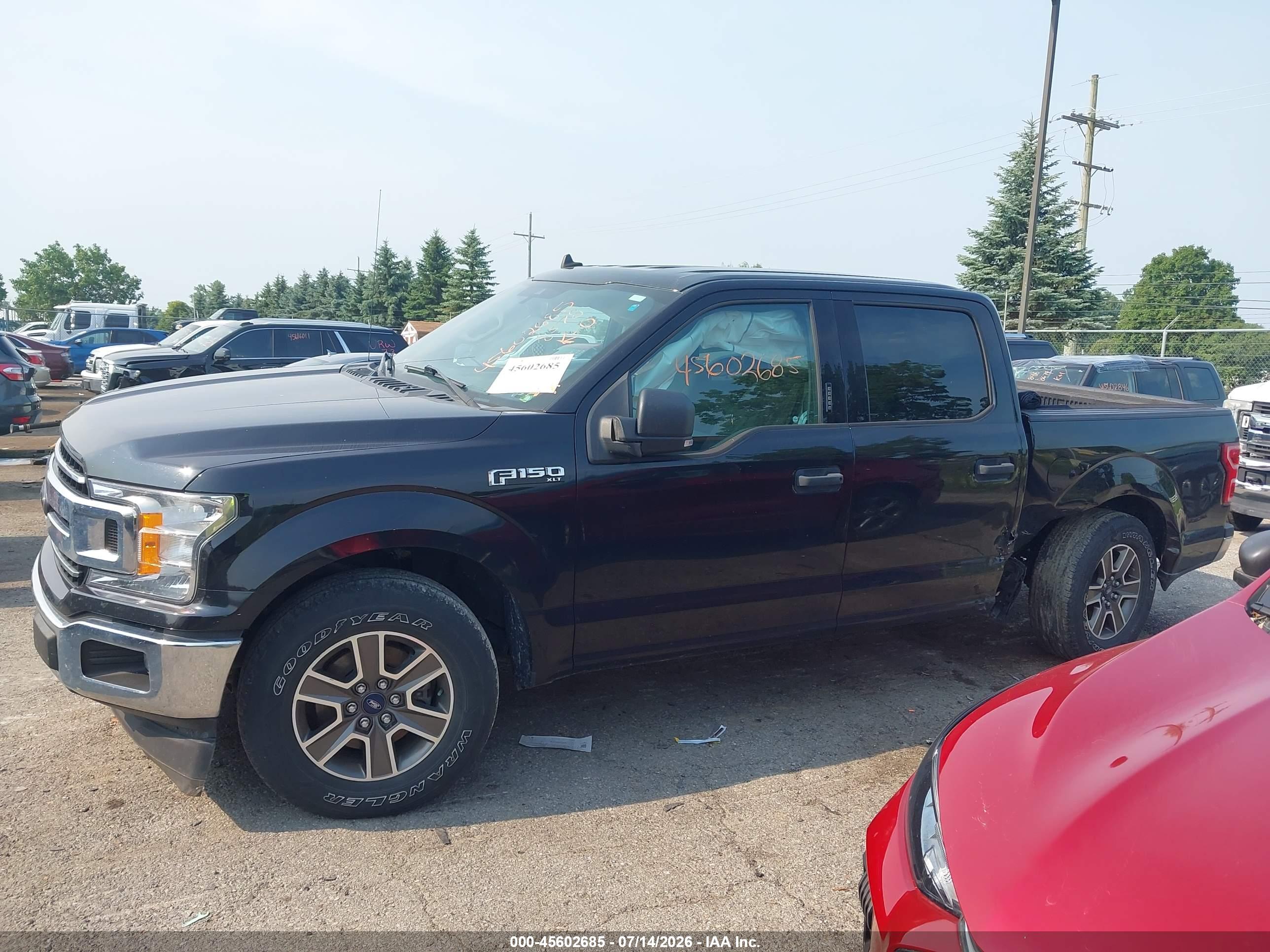 2019 FORD F-150 XLT