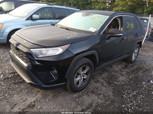 2019 TOYOTA RAV4 XLE