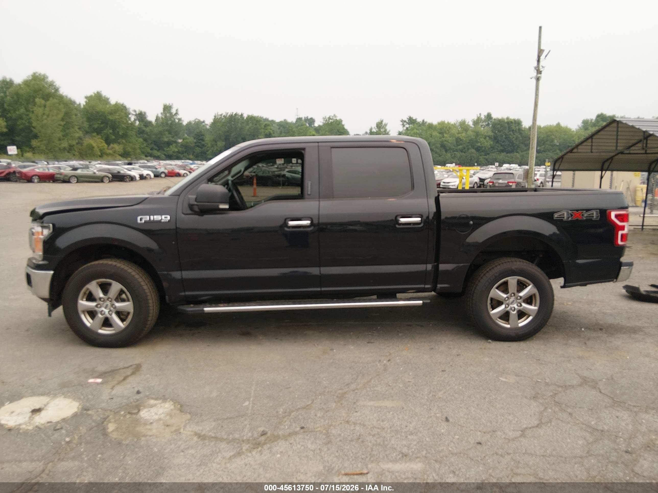 2019 FORD F-150 XLT