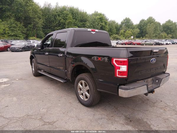 2019 FORD F-150 XLT