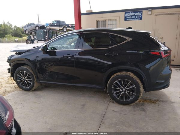 2025 LEXUS NX 250 350 Base