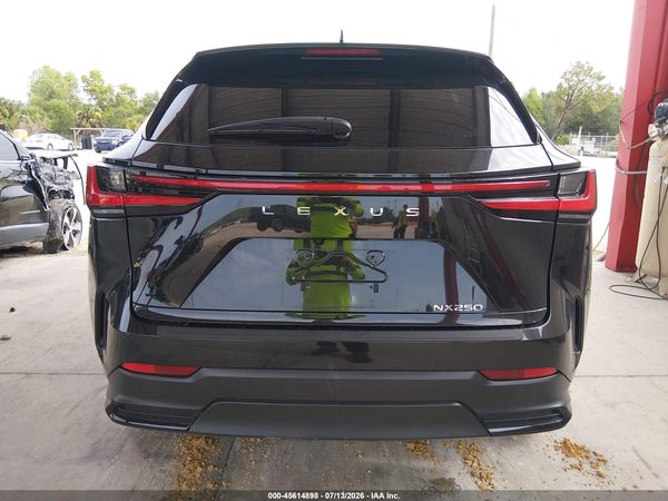 2025 LEXUS NX 250 350 Base