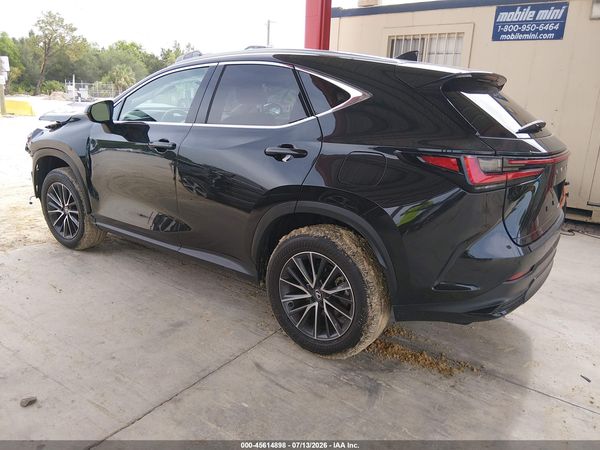 2025 LEXUS NX 250 350 Base