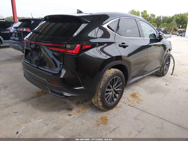 2025 LEXUS NX 250 350 Base