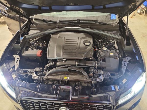 2024 JAGUAR F-PACE S R-DYN P250 P250 R-Dynamic S