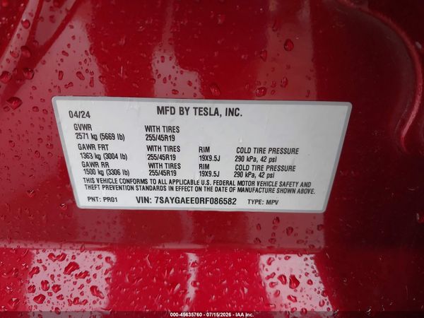 2024 TESLA MODEL Y