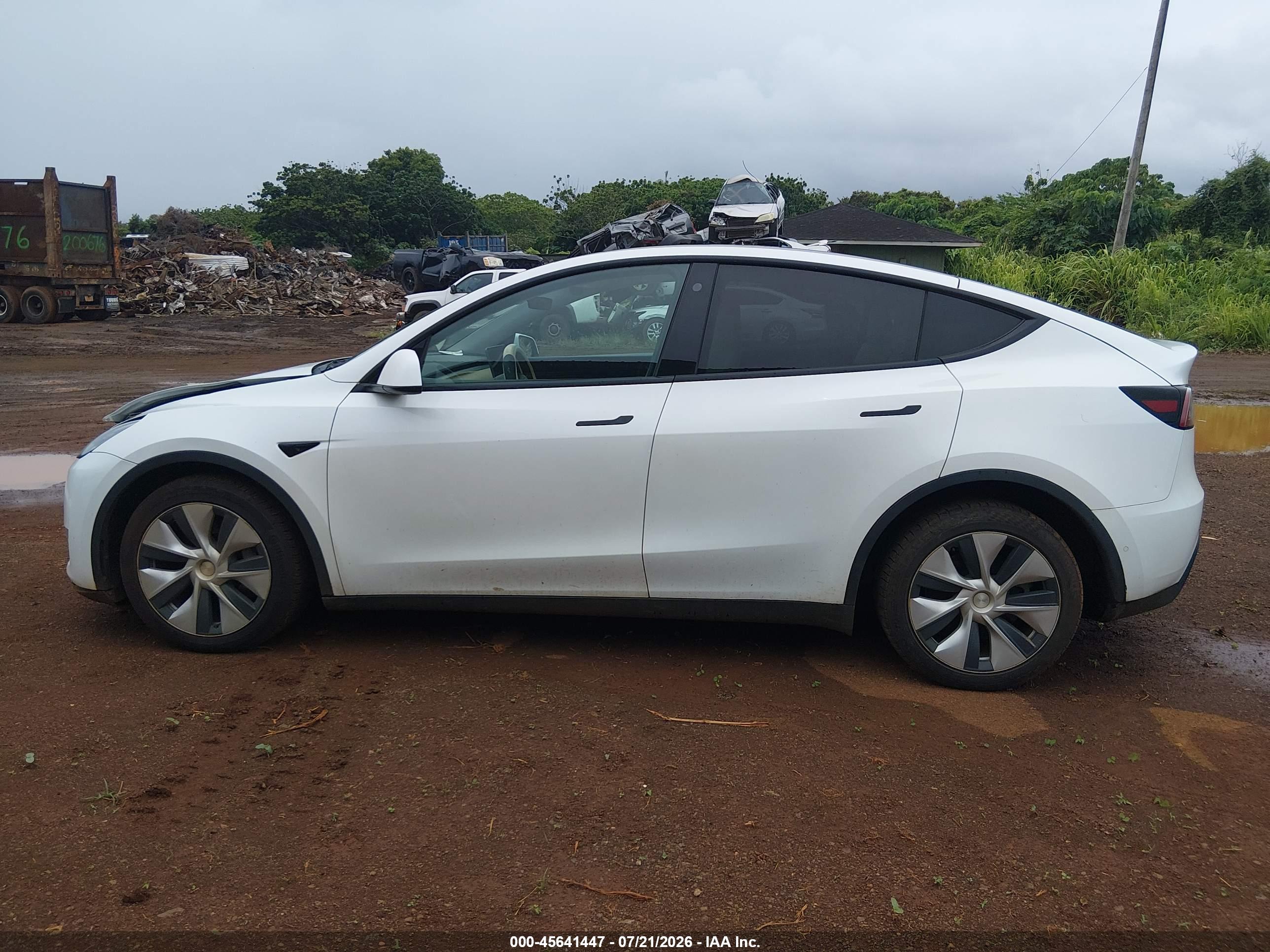 2021 TESLA MODEL Y