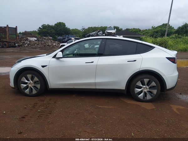 2021 TESLA MODEL Y