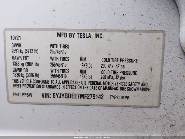 2021 TESLA MODEL Y
