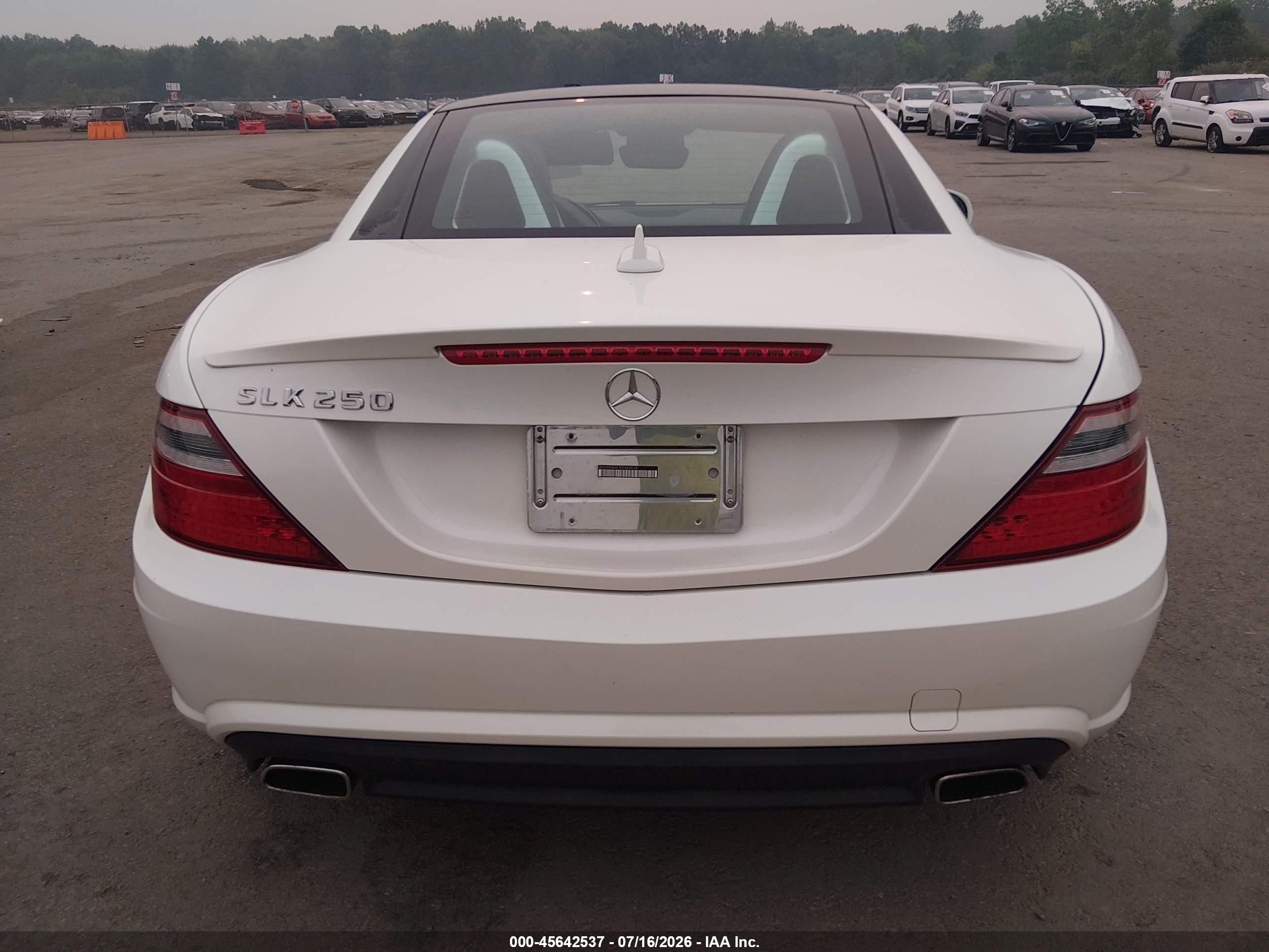 2014 MERCEDES-BENZ SLK 250 SLK250