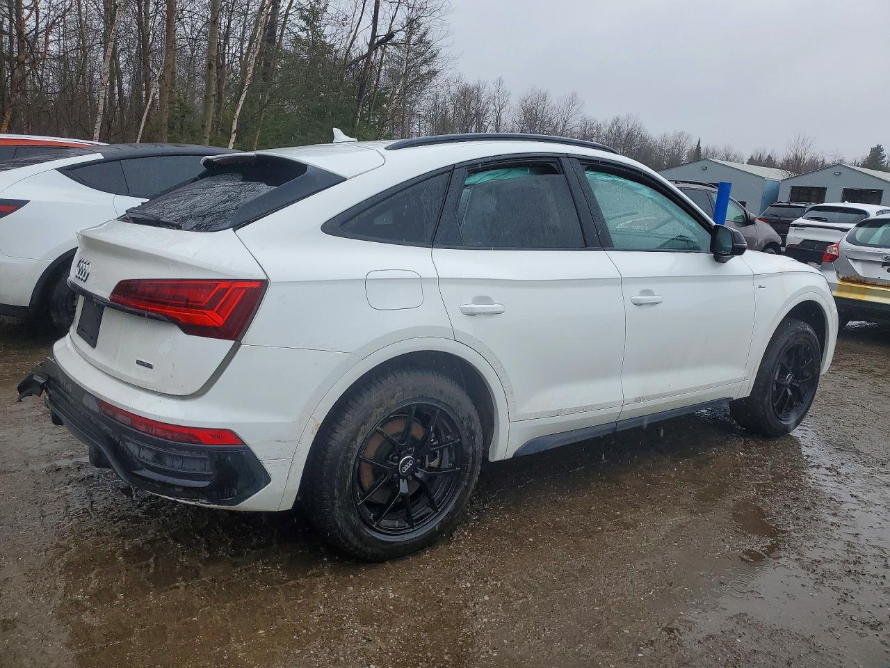 2023 AUDI Q5