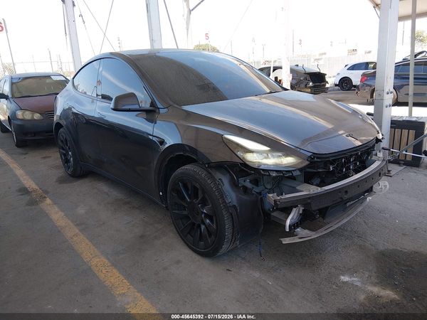 2025 TESLA MODEL Y