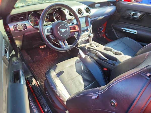 2019 FORD MUSTANG