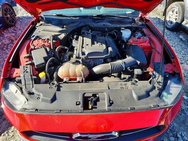 2019 FORD MUSTANG