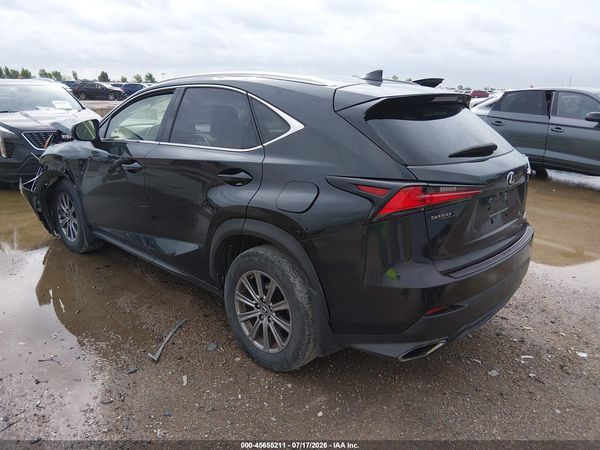 2019 LEXUS NX 300 300 Luxury