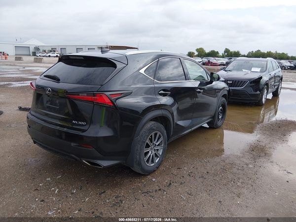 2019 LEXUS NX 300 300 Luxury