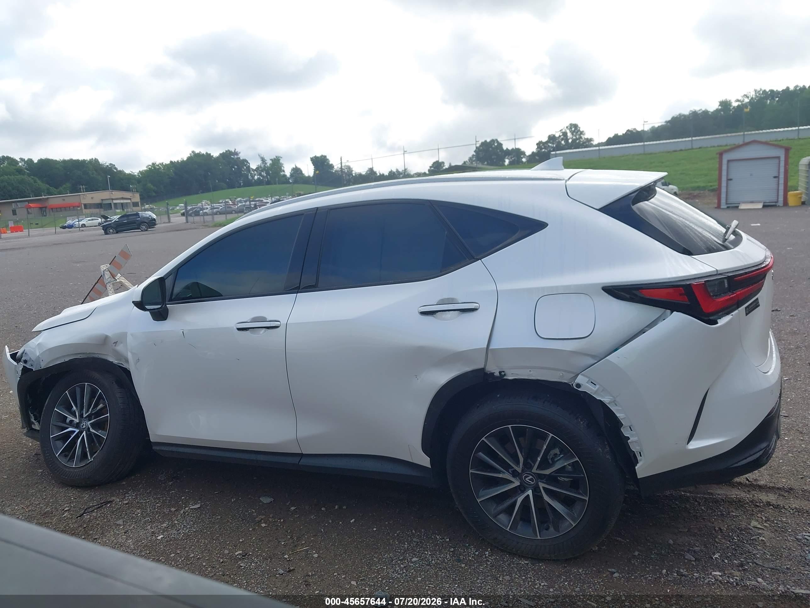 2025 LEXUS NX 350 PREMIUM