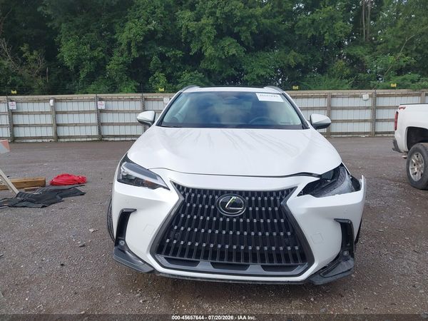 2025 LEXUS NX 350 PREMIUM