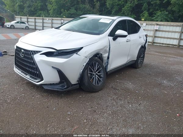 2025 LEXUS NX 350 PREMIUM