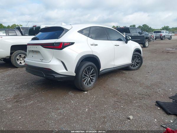 2025 LEXUS NX 350 PREMIUM