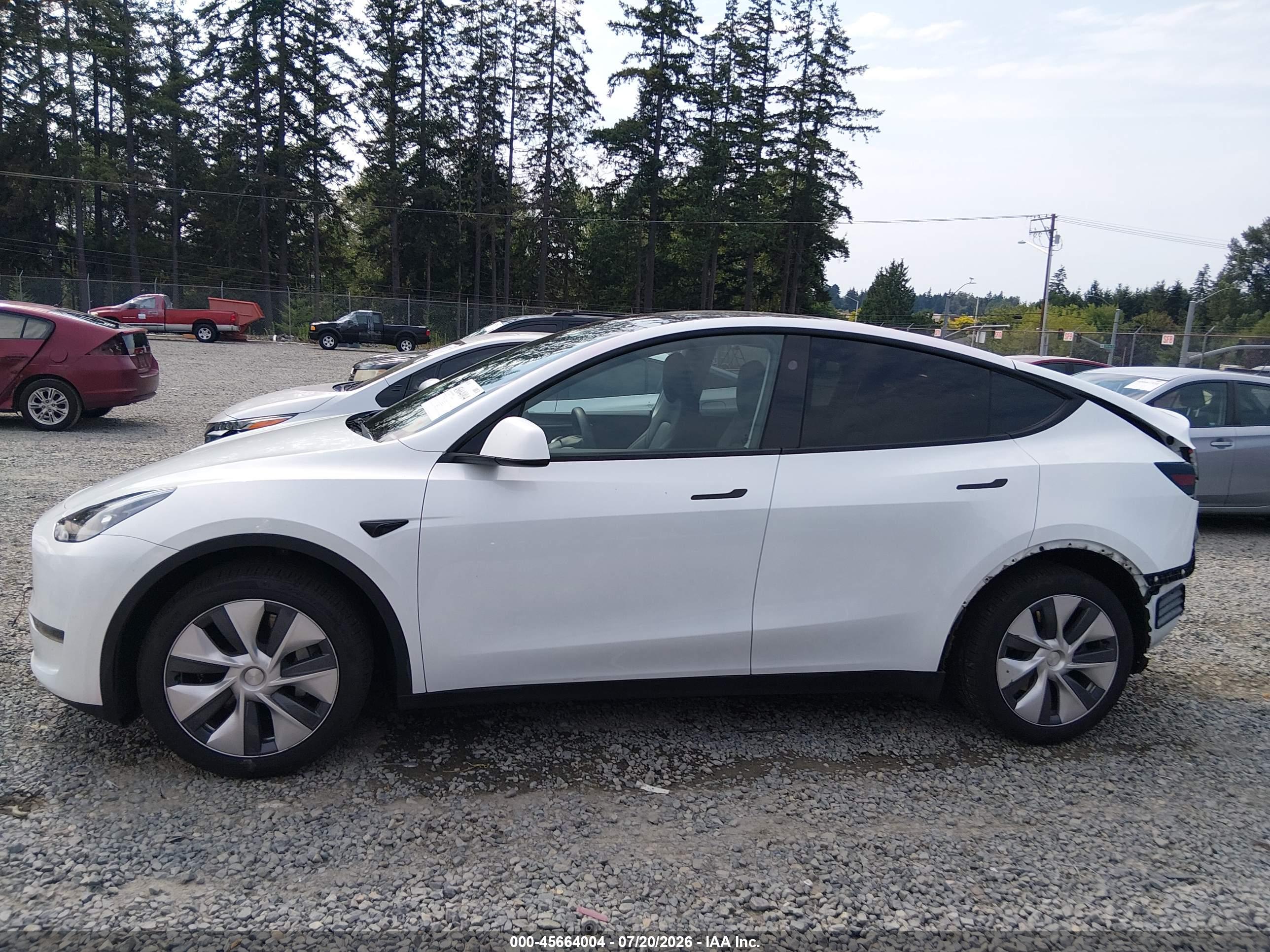 2024 TESLA MODEL Y
