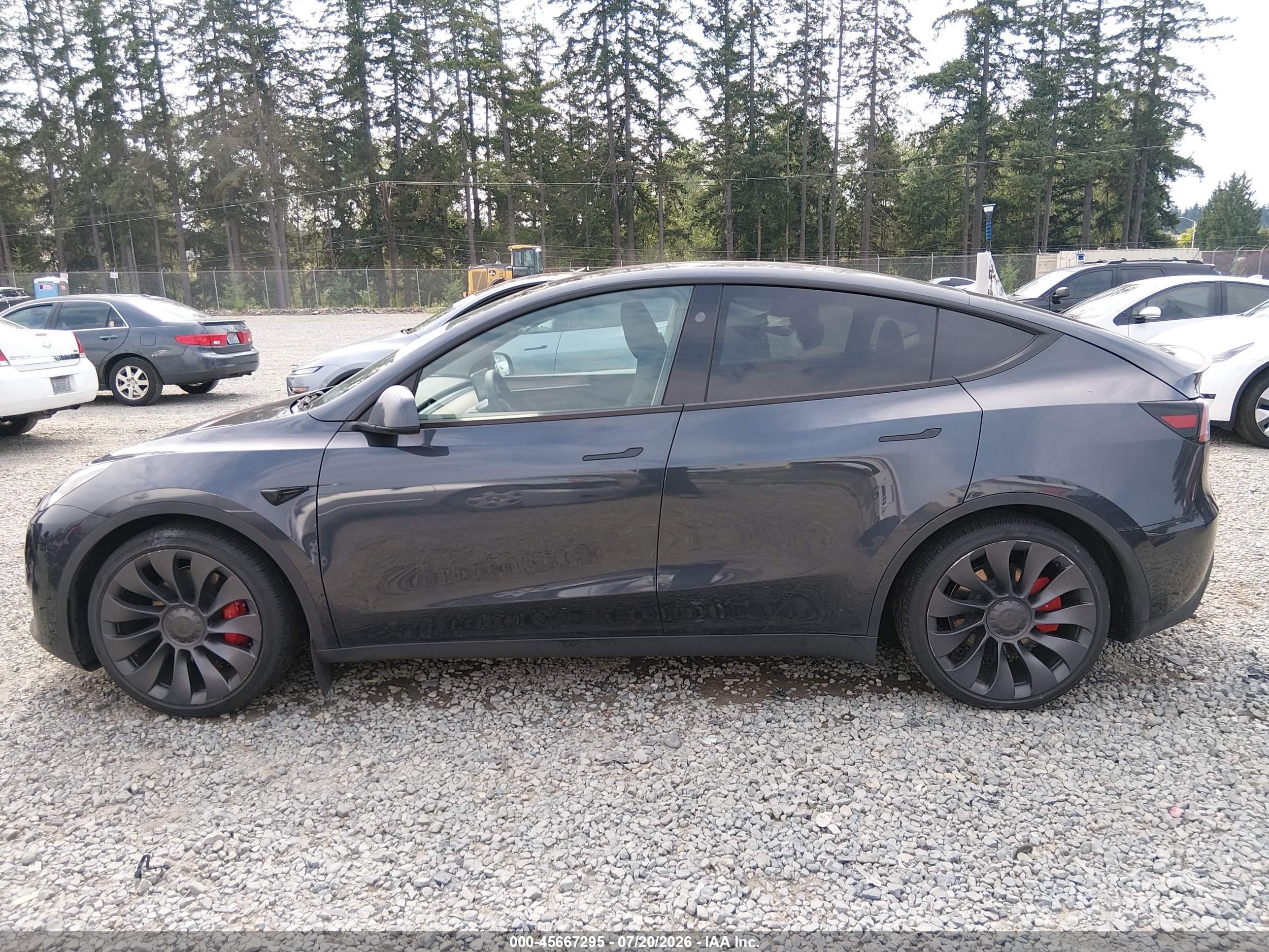 2025 TESLA MODEL Y