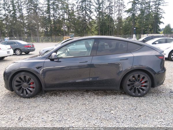 2025 TESLA MODEL Y