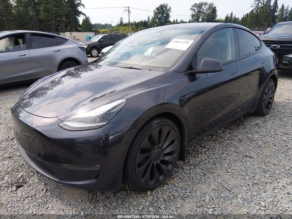 2025 TESLA MODEL Y