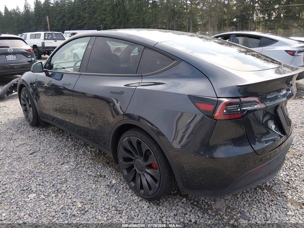 2025 TESLA MODEL Y