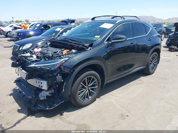 2025 LEXUS NX 350H PREMIUM