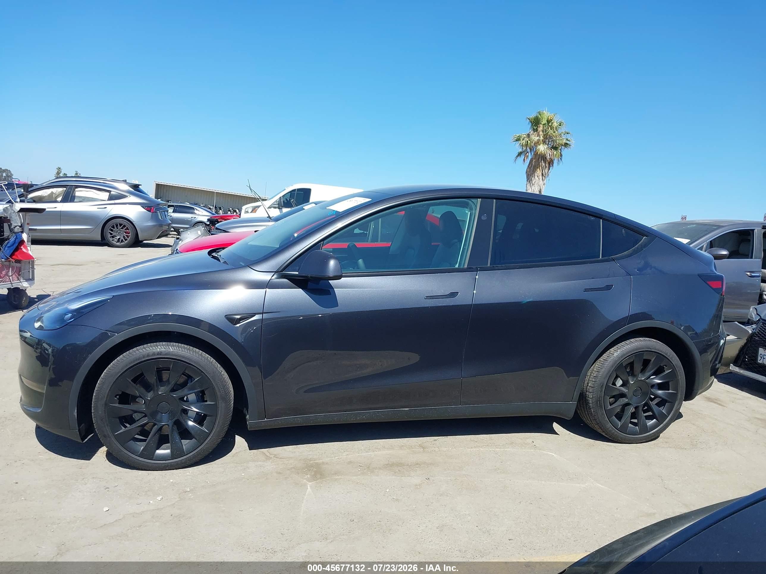2025 TESLA MODEL Y