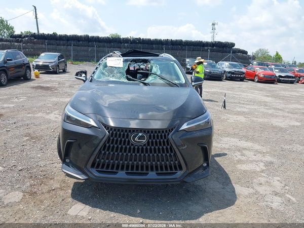 2025 LEXUS NX 350 PREMIUM