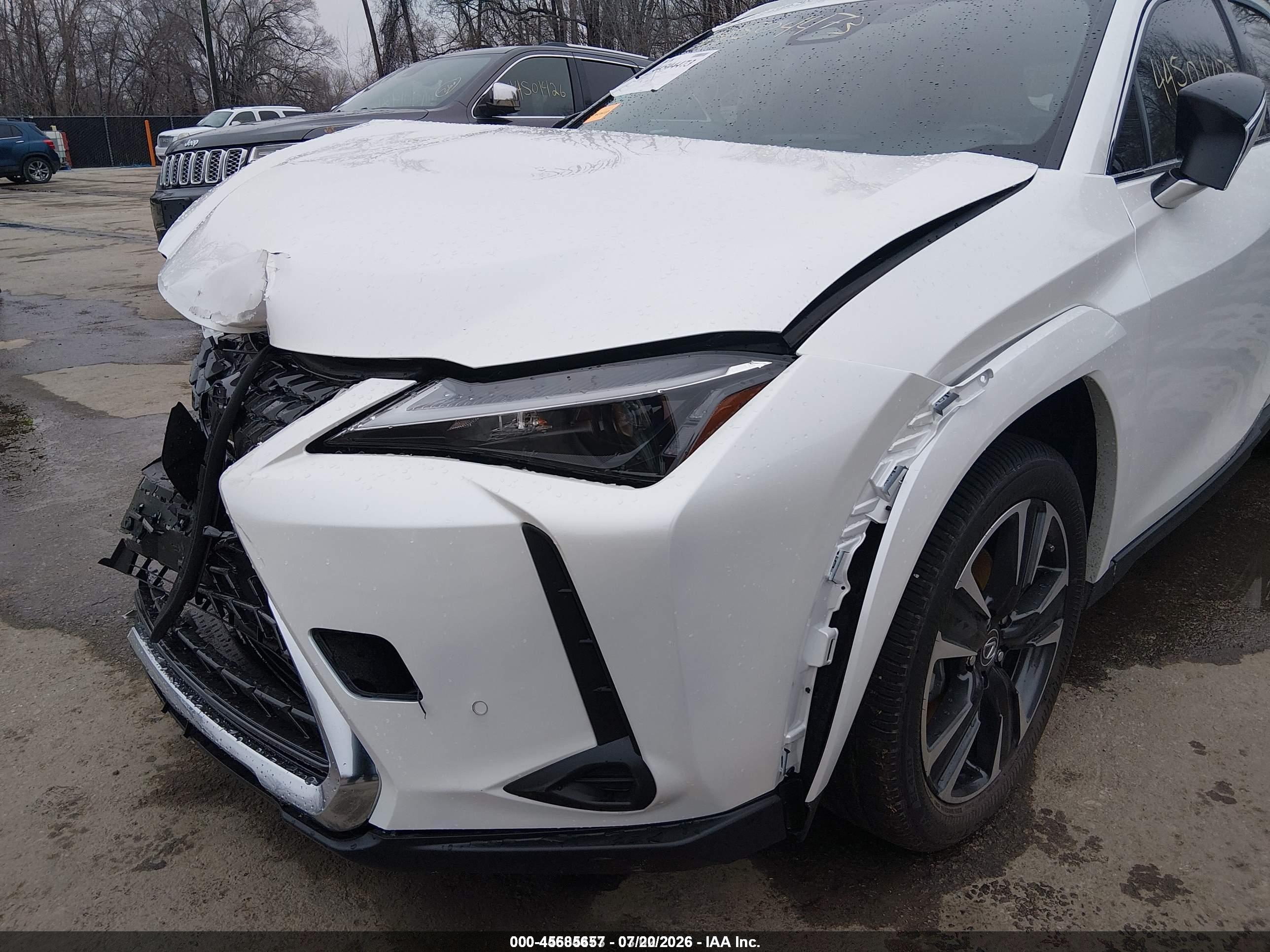 2025 LEXUS UX 300H PREMIUM