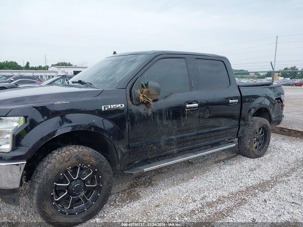 2019 FORD F-150 XLT