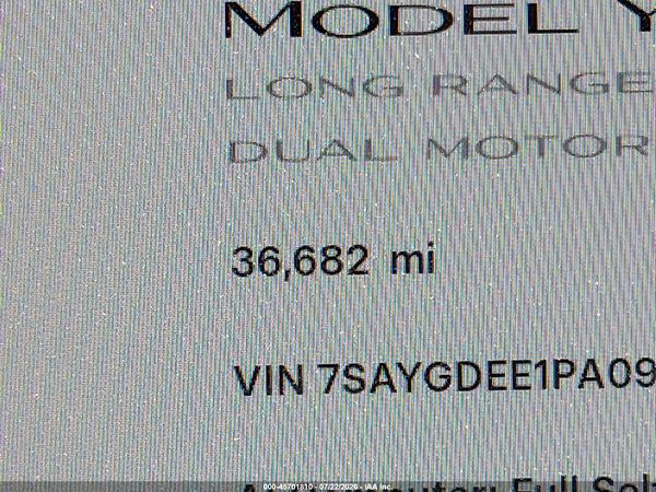 2023 TESLA MODEL Y